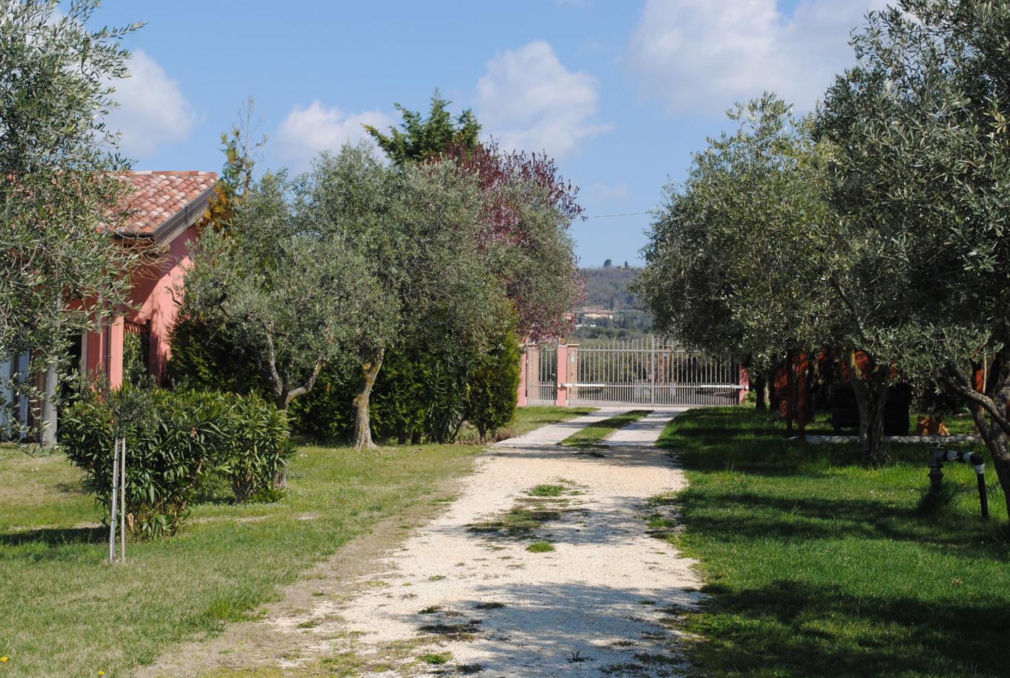 Agriturismo Melograno D'Oro Bardolino Dış mekan fotoğraf