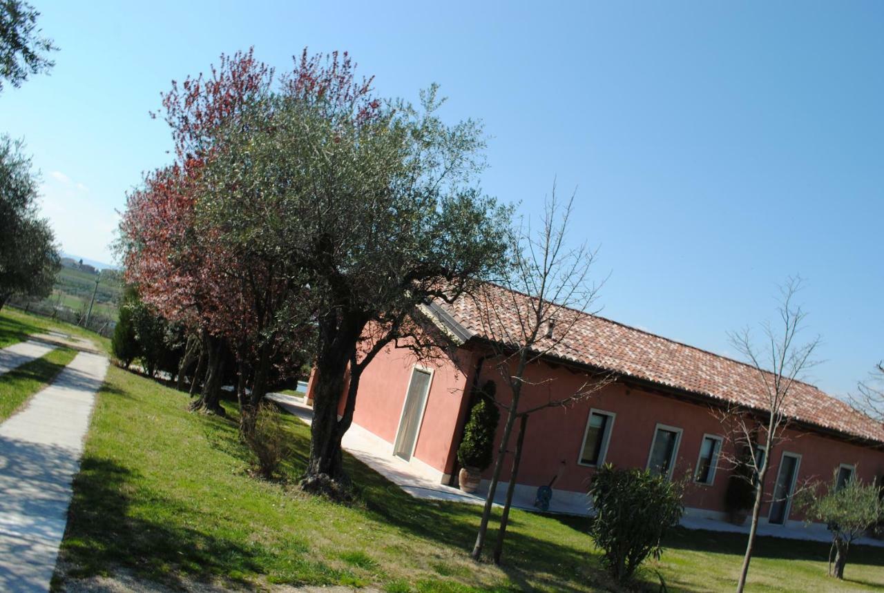 Agriturismo Melograno D'Oro Bardolino Dış mekan fotoğraf
