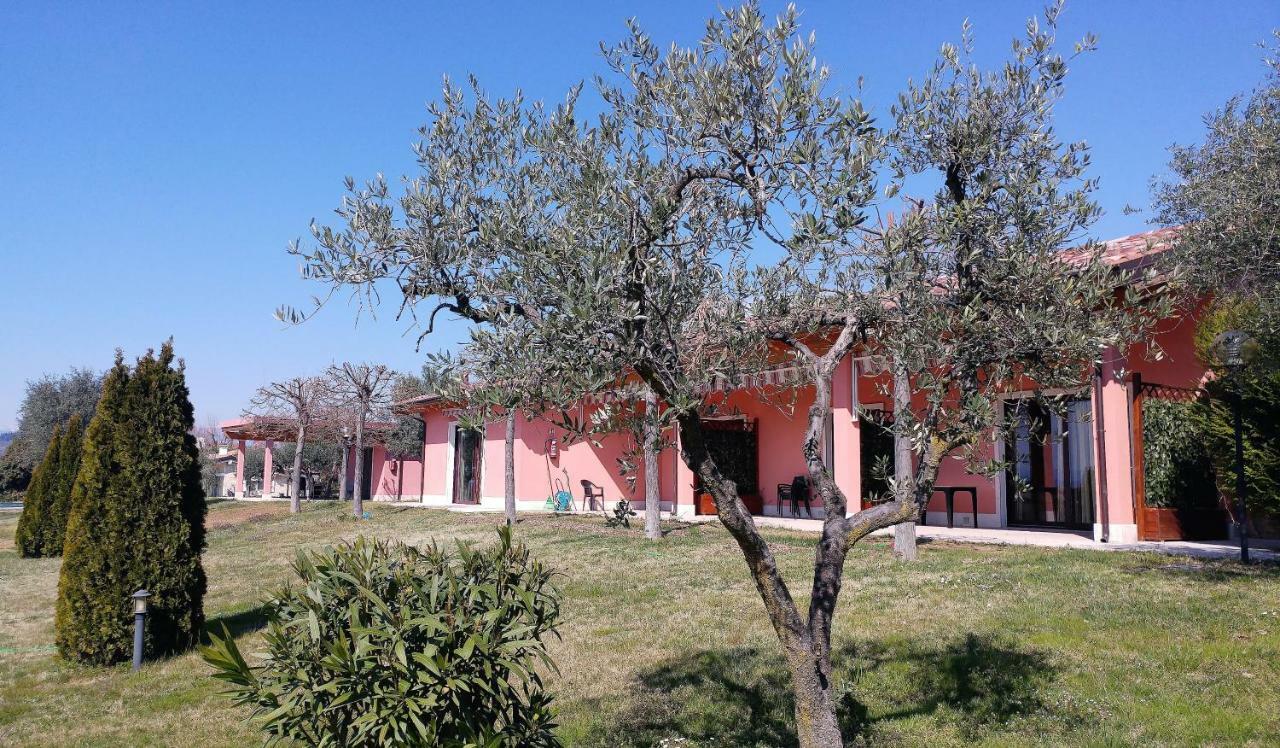 Agriturismo Melograno D'Oro Bardolino Dış mekan fotoğraf
